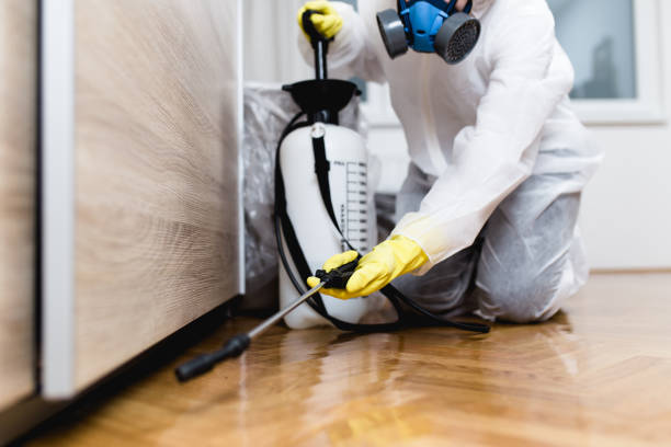 Best Affordable Pest Control Services  in Riverbend, WA