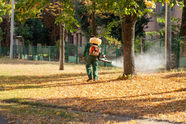 Best Local Pest Control Services  in Riverbend, WA