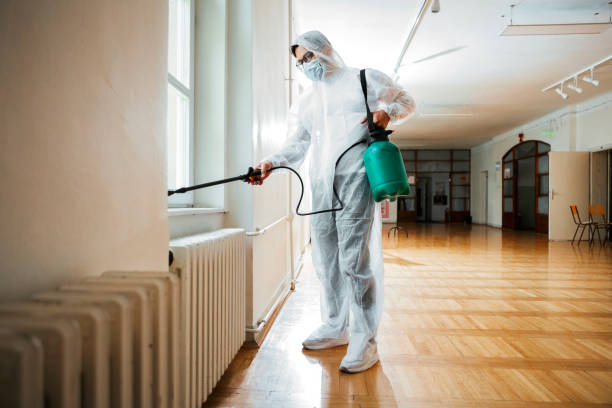 Best Wasp Removal Services  in Riverbend, WA